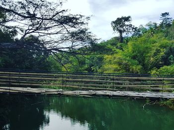 Scenic view of lake in forest against sky