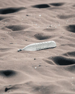 High angle view of feather on beach