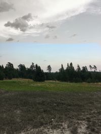 Scenic view of field against sky