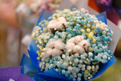 Close-up of blue flowers on plant