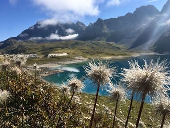 Scenic view of lake and mountains against sky