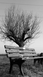 Empty bench in park