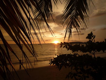 Scenic view of sunset over sea