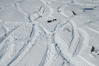 High angle view of ski tracks on snow field