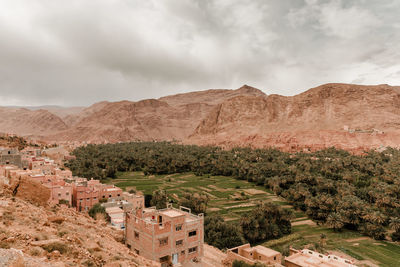 Small oasis with palm trees in the sahara desert