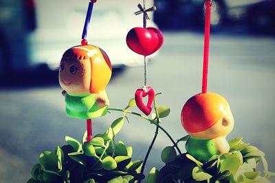 Close-up of fruits hanging