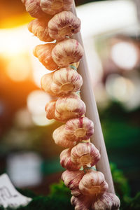 Garlic at farmers' market