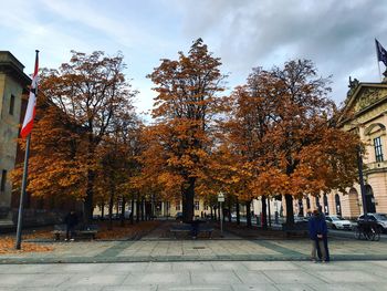 Trees against sky