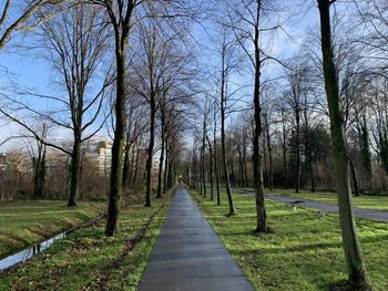 Road amidst bare trees and plants