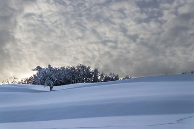 Snow covered landscape against sky