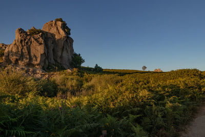 Rock formations on landscape against clear sky