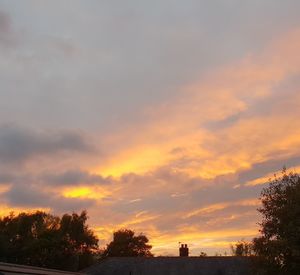 Low angle view of silhouette trees against sky during sunset