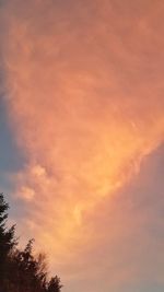 Low angle view of tree against dramatic sky