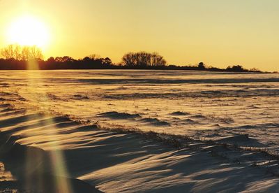 View of trees at sunset