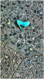 High angle view of the ground