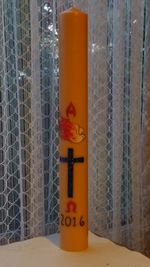 Close-up of yellow flowers