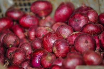 Full frame shot of chestnuts