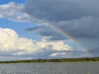  rainbow brite