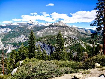 Panoramic view of pine trees and snowcapped mountains against sky