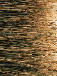 Full frame shot of textured surface