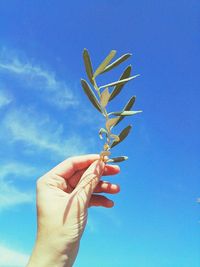 Close-up of hand holding plant against blue sky