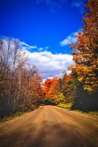 Road amidst trees against sky