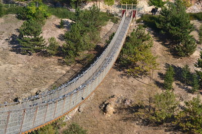 High angle view of road amidst trees