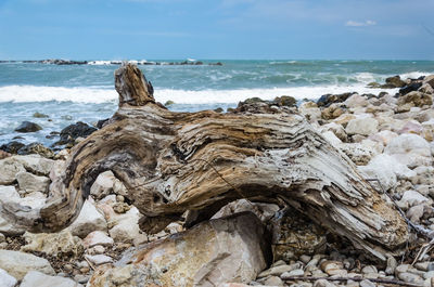 Scenic view of sea