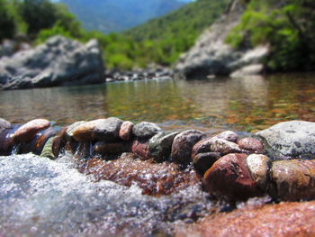 Close-up of rocks in water