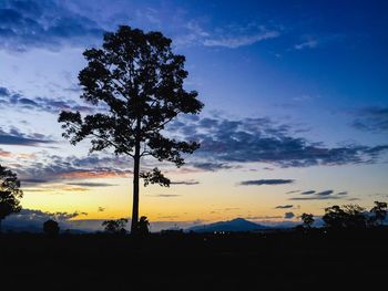 Silhouette tree on field against sky at sunset