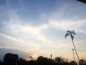 Low angle view of coconut palm trees against sky