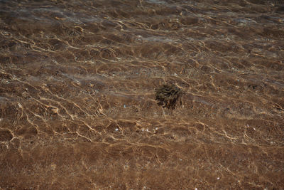 Full frame shot of a sand