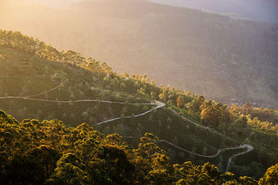 Winding road in the middle of tea plantations. hills near haputale in sri lanka at golden light.