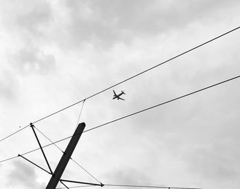 Low angle view of birds flying against sky