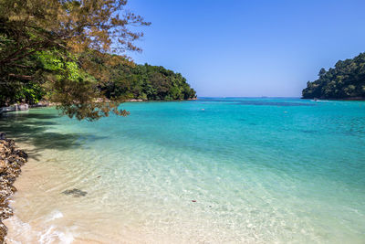 Scenic view of sea against clear blue sky