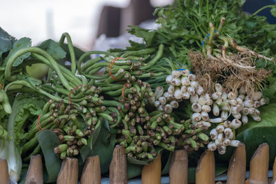 Close-up of vegetables for sale in market