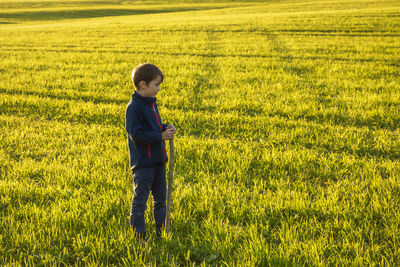 Boy holding stick while standing on grassy land