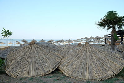 Panoramic shot of palm trees against clear sky