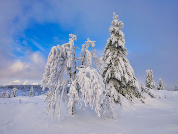 Panoramic view of snow covered field against sky