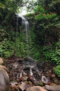 Stream flowing through rocks in forest