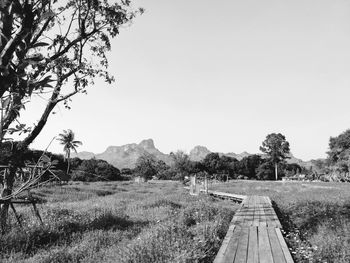 Scenic view of field against clear sky