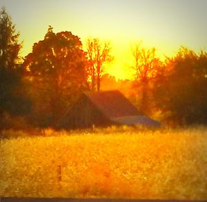 Scenic view of landscape at sunset