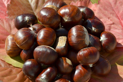 Close-up of fruits