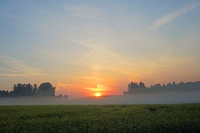 Scenic view of field against sky during sunset