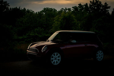 Car on tree against sky