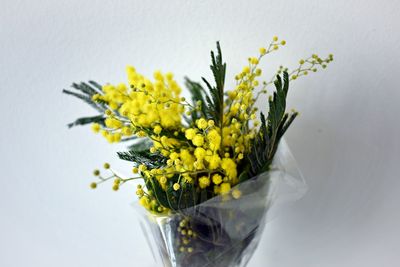 Close-up of yellow flowers in vase