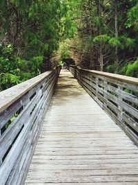 View of footbridge in forest