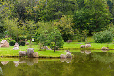 Scenic view of lake in park