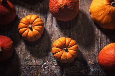 High angle view of pumpkins on wood during autumn
