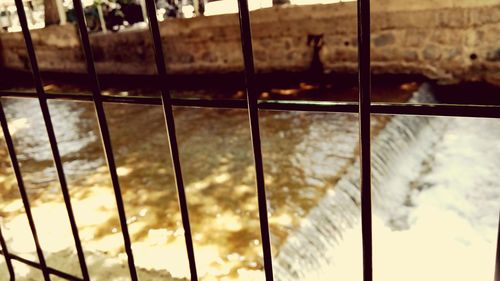 Chainlink fence seen through chainlink fence